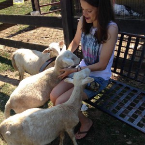 photo_2015-08-29_20-47-55